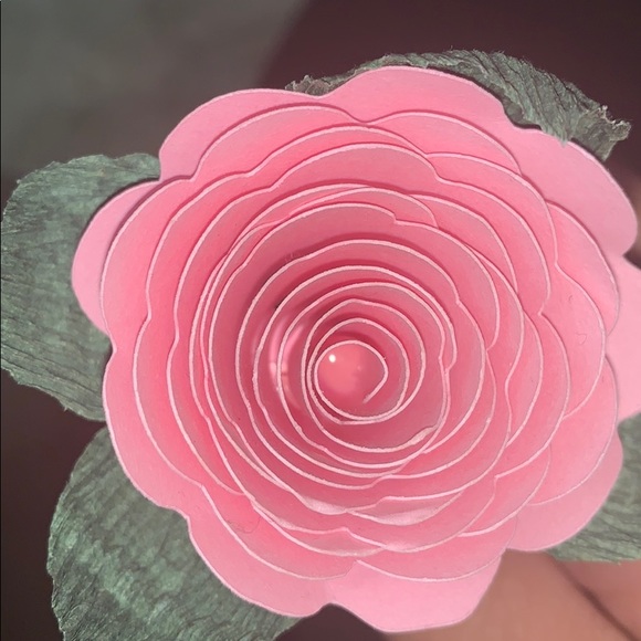 jhoanaap18